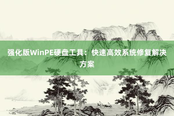 强化版WinPE硬盘工具：快速高效系统修复解决方案